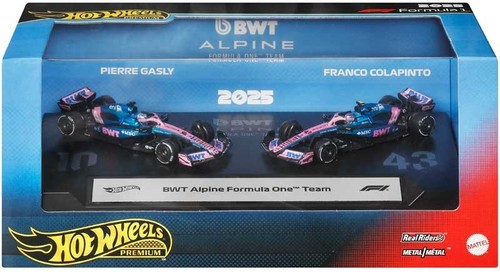 Bwt alpine team hot wheels - alpine,